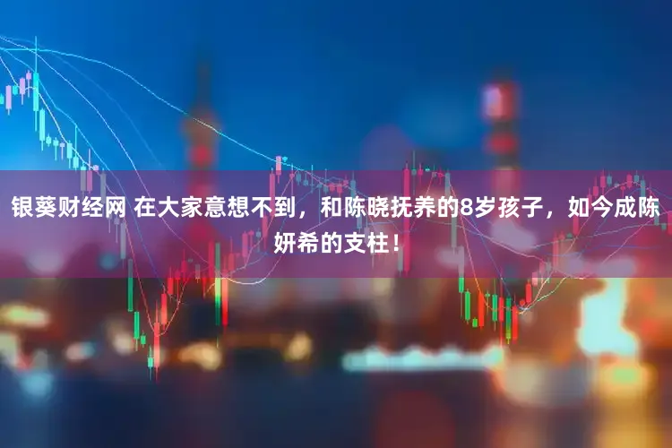 银葵财经网 在大家意想不到，和陈晓抚养的8岁孩子，如今成陈妍希的支柱！