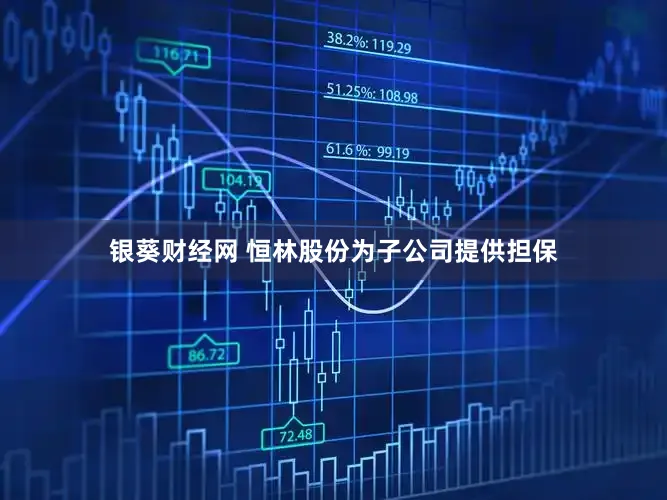 银葵财经网 恒林股份为子公司提供担保