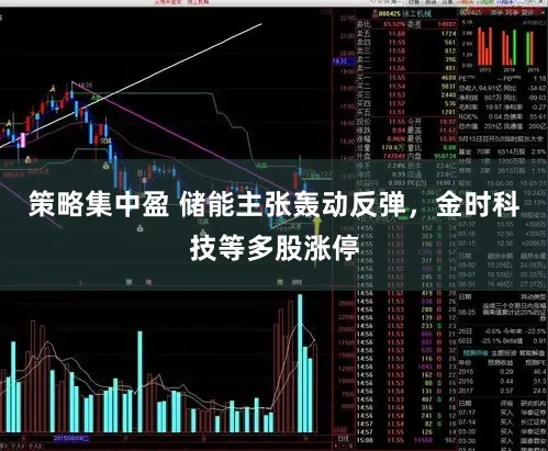 策略集中盈 储能主张轰动反弹，金时科技等多股涨停