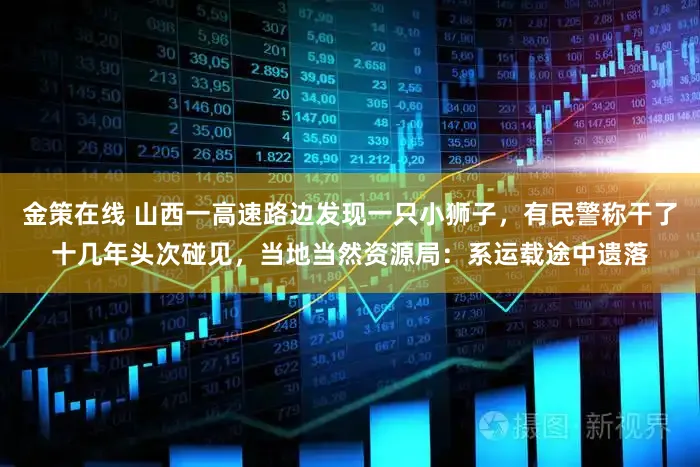 金策在线 山西一高速路边发现一只小狮子，有民警称干了十几年头次碰见，当地当然资源局：系运载途中遗落