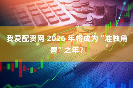 我爱配资网 2026 年将成为“准独角兽”之年？