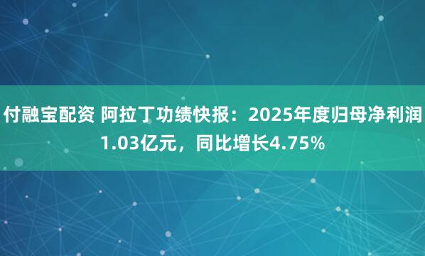 付融宝配资 阿拉丁功绩快报：2025年度归母净利润1.03亿元，同比增长4.75%