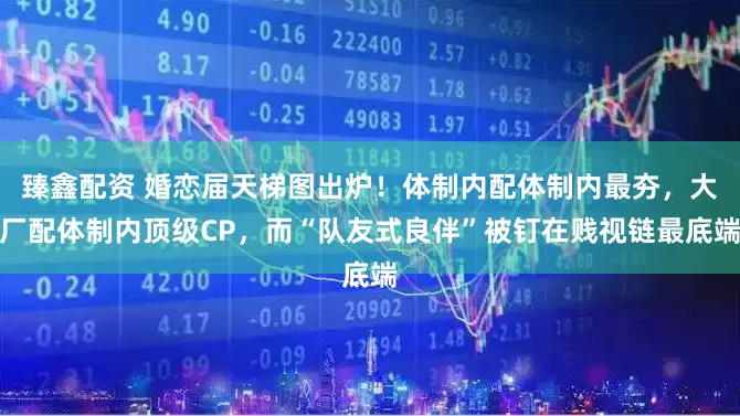 臻鑫配资 婚恋届天梯图出炉！体制内配体制内最夯，大厂配体制内顶级CP，而“队友式良伴”被钉在贱视链最底端