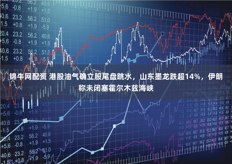 锦牛网配资 港股油气确立股尾盘跳水，山东墨龙跌超14%，伊朗称未闭塞霍尔木兹海峡