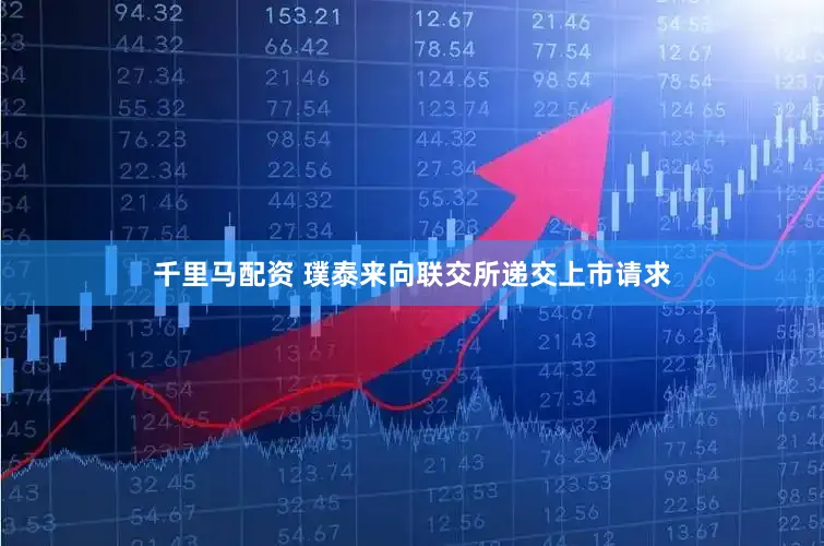 千里马配资 璞泰来向联交所递交上市请求