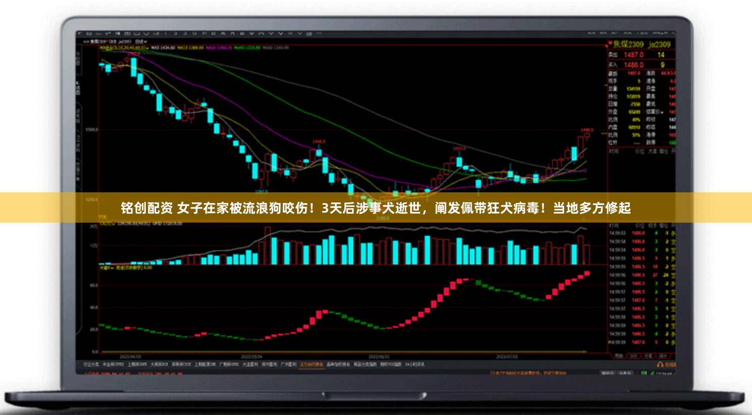 铭创配资 女子在家被流浪狗咬伤！3天后涉事犬逝世，阐发佩带狂犬病毒！当地多方修起