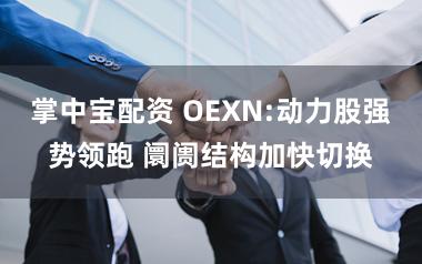 掌中宝配资 OEXN:动力股强势领跑 阛阓结构加快切换