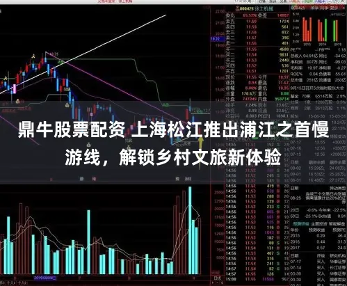 鼎牛股票配资 上海松江推出浦江之首慢游线，解锁乡村文旅新体验