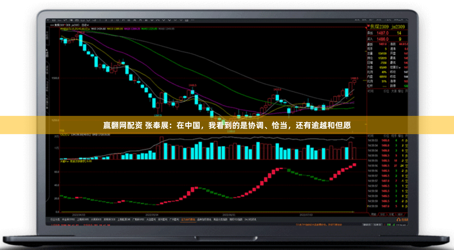 赢翻网配资 张奉展：在中国，我看到的是协调、恰当，还有逾越和但愿