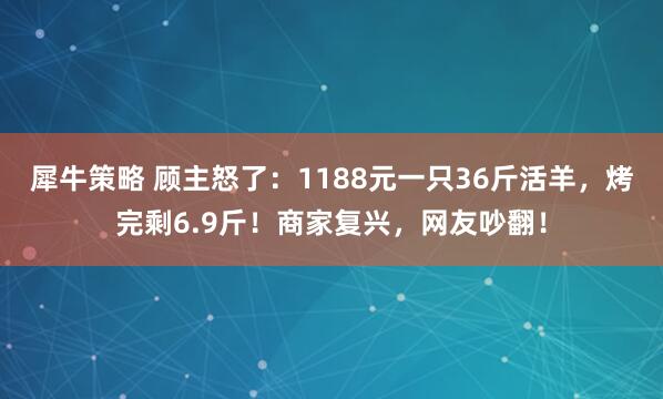 犀牛策略 顾主怒了：1188元一只36斤活羊，烤完剩6.9斤！商家复兴，网友吵翻！
