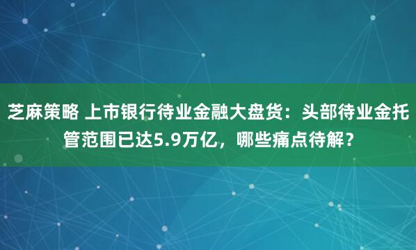 芝麻策略 上市银行待业金融大盘货:头部待业金托管范围已达5.9万亿,哪些痛点待解?