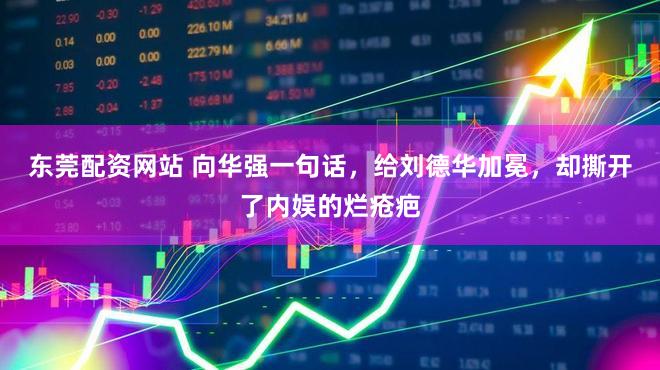 东莞配资网站 向华强一句话，给刘德华加冕，却撕开了内娱的烂疮疤