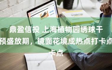 鼎盈信投 上海植物园绣球干预盛放期，镜面花境成热点打卡点