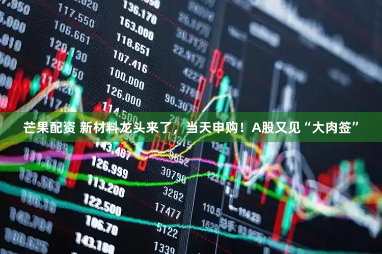 芒果配资 新材料龙头来了，当天申购！A股又见“大肉签”